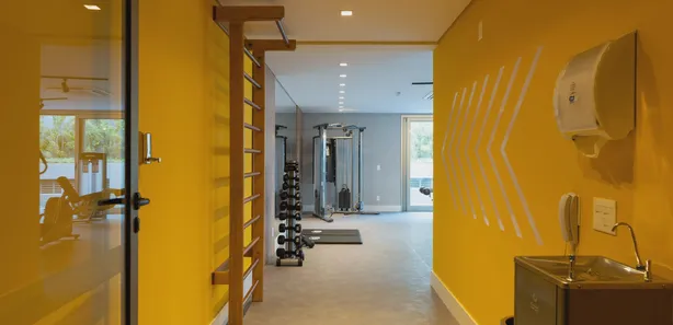 Raizes do parque no Vila Clementino, São Paulo