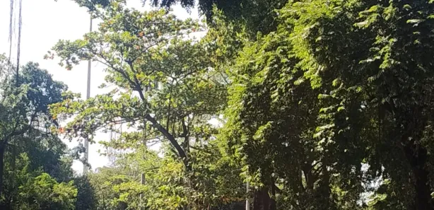 Apartamento com 3 Quartos para venda ou aluguel, 115m² no Glória, Rio de Janeiro