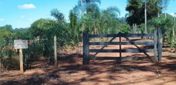 Fazenda/Sítio com 4 Quartos à venda, 230m² no , Leopoldo de Bulhões