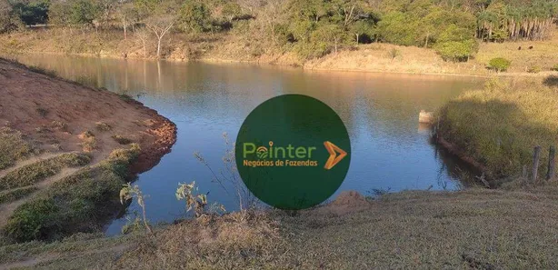 Fazenda/Sítio à venda, 580800m² no , Silvânia