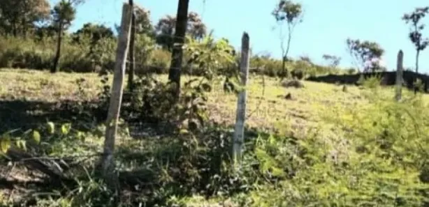 Lote/Terreno à venda, 360m² no , Caetanópolis