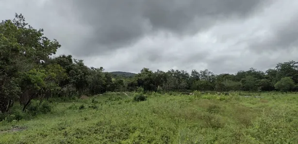 Lote/Terreno à venda, 20000m² no , Fortuna de Minas