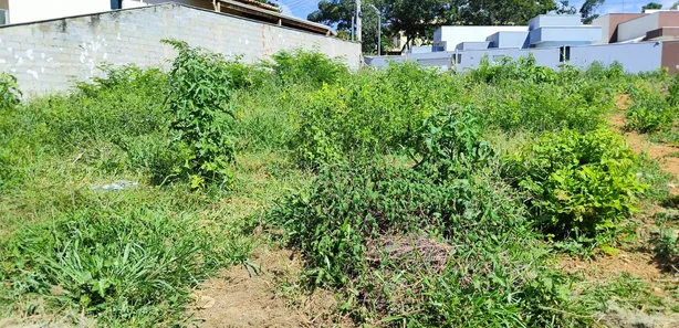 Lote/Terreno à venda, 360m² no Portal do Sol, Lagoa Santa