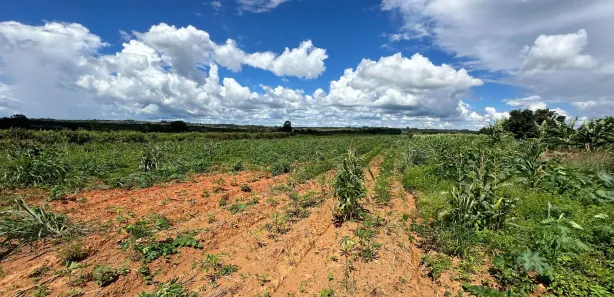 Fazenda/Sítio com 3 Quartos à venda, 33403m² no Área Rural de Brazlândia, Brasília