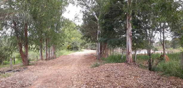 Lote/Terreno à venda, 20000m² no Cordisburgo, Cordisburgo
