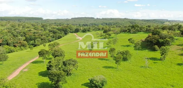 Fazenda/Sítio à venda, 500m² no Centro, Jaraguá