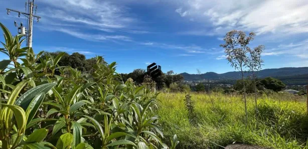 Lote/Terreno à venda, 342m² no Alto Vila Rosa, Dois Irmãos