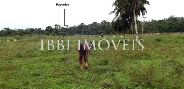 Fazenda/Sítio com 1 Quarto à venda, 24000m² no , Belmonte