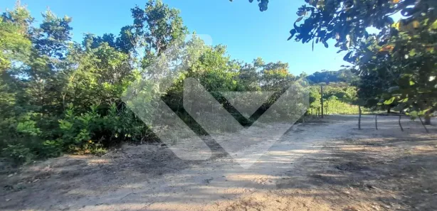 Fazenda/Sítio à venda, 70000m² no , Altos