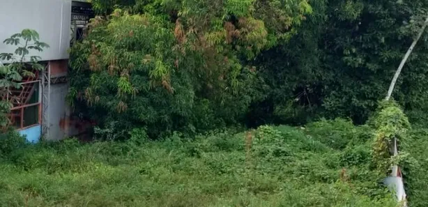 Lote/Terreno à venda no Cidade Nova, Manaus