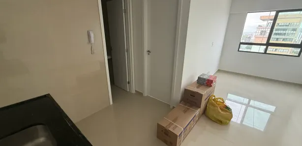 Flat com 1 Quarto para alugar, 30m² no Boa Vista, Recife