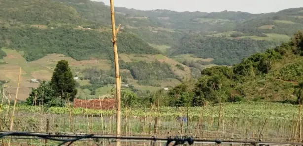 Lote/Terreno à venda, 120000m² no Forqueta Baixa, Vale Real