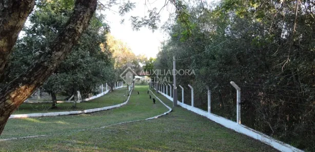 Fazenda/Sítio com 4 Quartos à venda, 66863m² no Industrial, Farroupilha