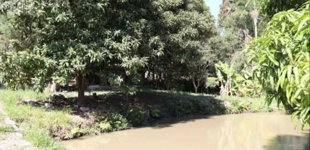 Fazenda/Sítio com 3 Quartos para venda ou aluguel, 12700m² no Chácaras Maristela, Franco da Rocha