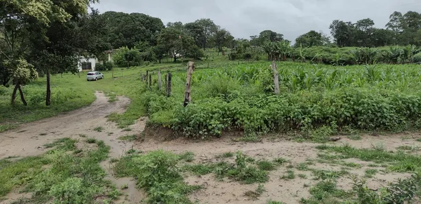 Lote/Terreno à venda, 20000m² no , Fortuna de Minas