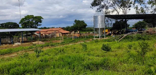 Fazenda/Sítio à venda, 30m² no , Buritis