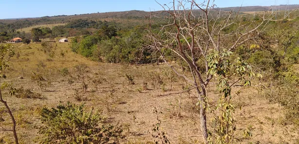 Fazenda/Sítio à venda, 30000m² no , Brasília