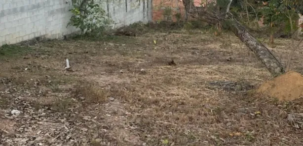 Lote/Terreno à venda, 500m² no Palmital, Lagoa Santa