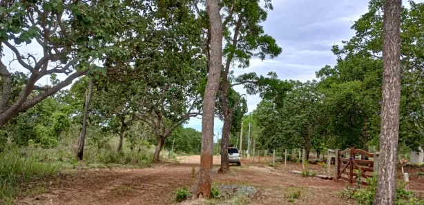 Lote/Terreno à venda, 20000m² no , Araçaí