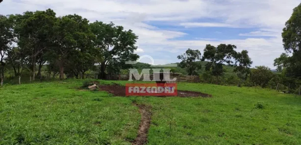 Fazenda/Sítio à venda, 2468000m² no , Jaraguá