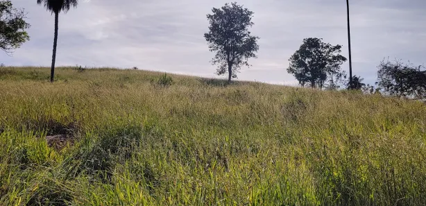 Fazenda/Sítio com 3 Quartos à venda, 8m² no , Bonfinópolis