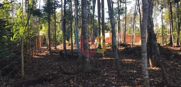 Lote/Terreno à venda, 729m² no Arraial D'Ajuda, Porto Seguro