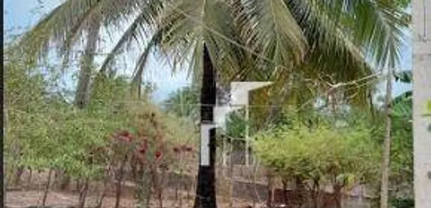 Lote/Terreno à venda, 18600000m² no Zona Rural, Altos