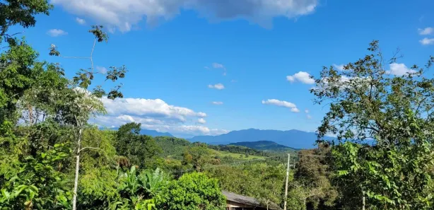 Fazenda/Sítio com 3 Quartos à venda, 100000m² no Antonina, Antonina
