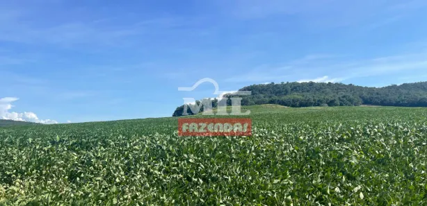 Fazenda/Sítio à venda, 500m² no , São Francisco de Goiás