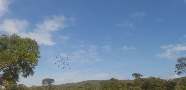 Fazenda/Sítio com 6 Quartos à venda, 14000000m² no Centro, Buenópolis