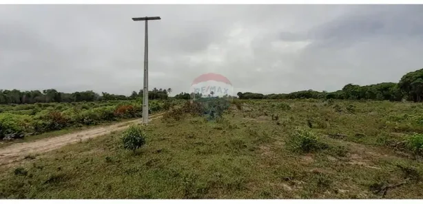 Fazenda/Sítio à venda, 1400000m² no Centro, Caravelas