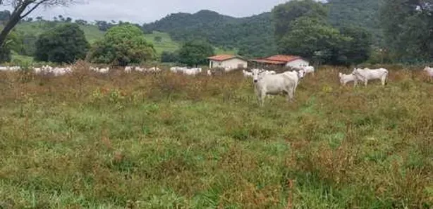 Fazenda/Sítio com 2 Quartos à venda, 100m² no , Itaberaí
