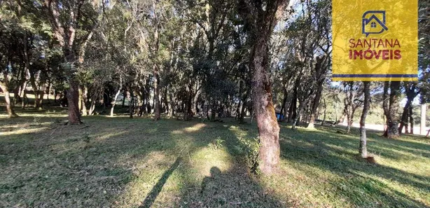 Ponto Comercial para alugar, 465m² no São Caetano, Balsa Nova
