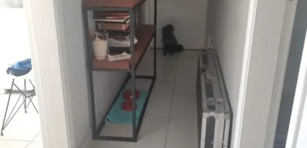 Apartamento com 3 Quartos à venda, 68m² no Vila São Geraldo, Taubaté