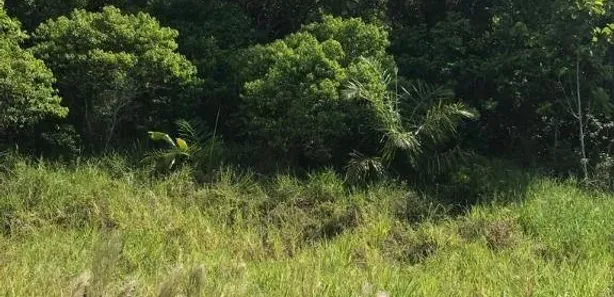Lote/Terreno à venda, 2000m² no Centro, Simões Filho