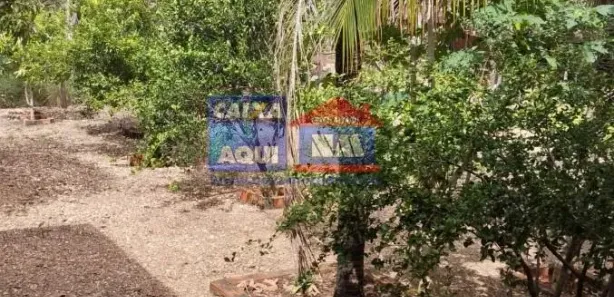 Fazenda/Sítio com 5 Quartos à venda, 11315m² no Niquelândia, Niquelândia