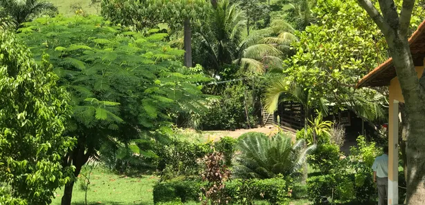 Fazenda/Sítio à venda, 14700m² no Centro, Tanguá
