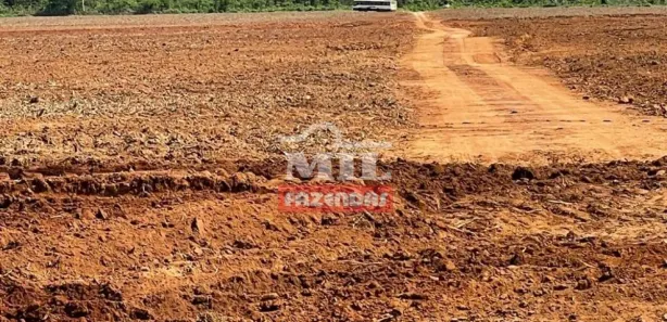 Fazenda/Sítio à venda, 500m² no , São Luíz do Norte