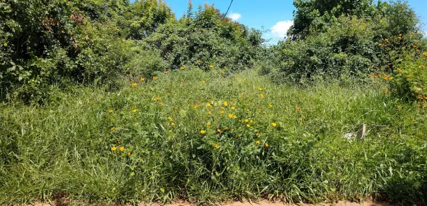 Lote/Terreno à venda, 1000m² no Lagoa Mansões, Lagoa Santa