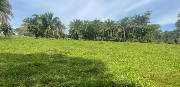 Fazenda/Sítio com 3 Quartos à venda, 72600m² no Área Rural de Inhumas, Inhumas
