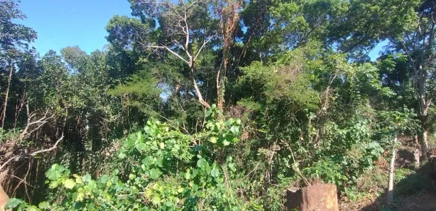 Lote/Terreno para venda ou aluguel, 60000m² no Vila Valqueire, Rio de Janeiro