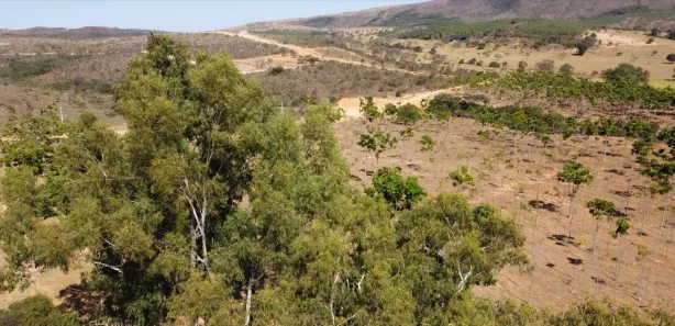 Lote/Terreno à venda, 20012m² no , Cordisburgo