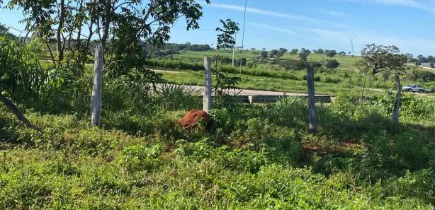 Fazenda/Sítio à venda, 134500m² no Setor Central, Guapó