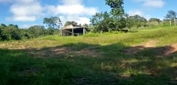 Fazenda/Sítio à venda no Centro, Padre Bernardo