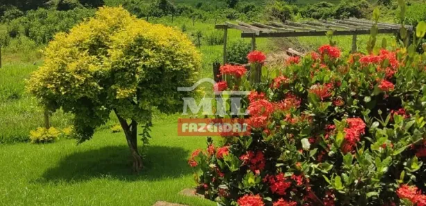 Fazenda/Sítio à venda, 20000m² no Área Rural de Inhumas, Inhumas