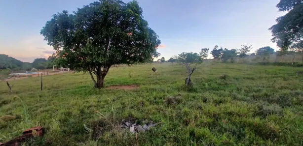 Fazenda/Sítio com 2 Quartos à venda, 5000m² no Área Rural de Brazlândia, Brasília