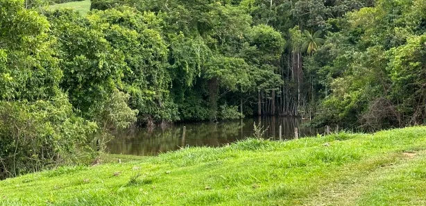 Fazenda/Sítio à venda, 7500000m² no Trevo do José Rosário, Leopoldo de Bulhões
