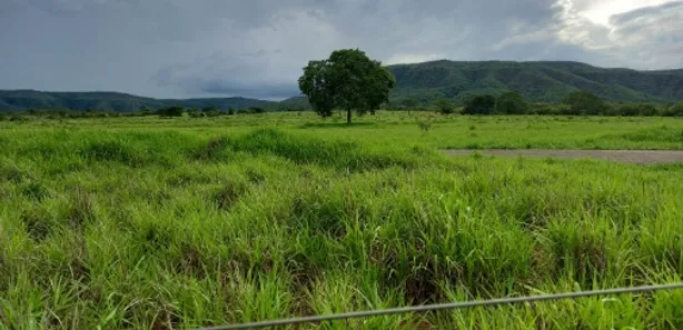 Fazenda/Sítio à venda no , Buritis