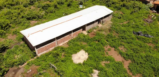 Fazenda/Sítio com 3 Quartos à venda, 124000000m² no Centro, Campo Maior