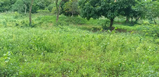 Fazenda/Sítio com 1 Quarto à venda, 20000m² no Serra do Cipó, Santana do Riacho
